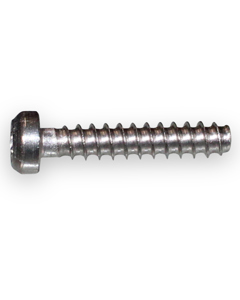 Screw 4 x 20 Torx PH SST